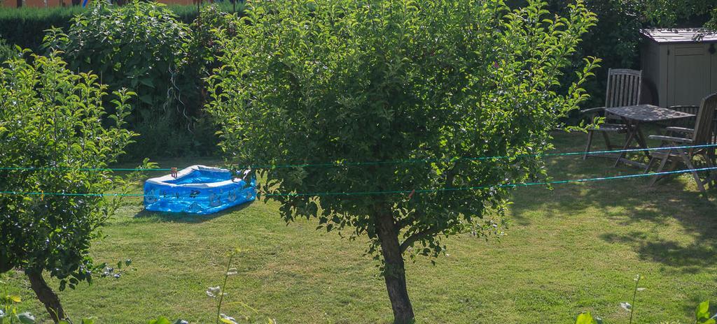 Ferienwohnung Am Elberadweg Dresda Cameră foto