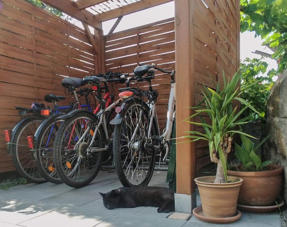 Ferienwohnung Am Elberadweg Dresda Exterior foto