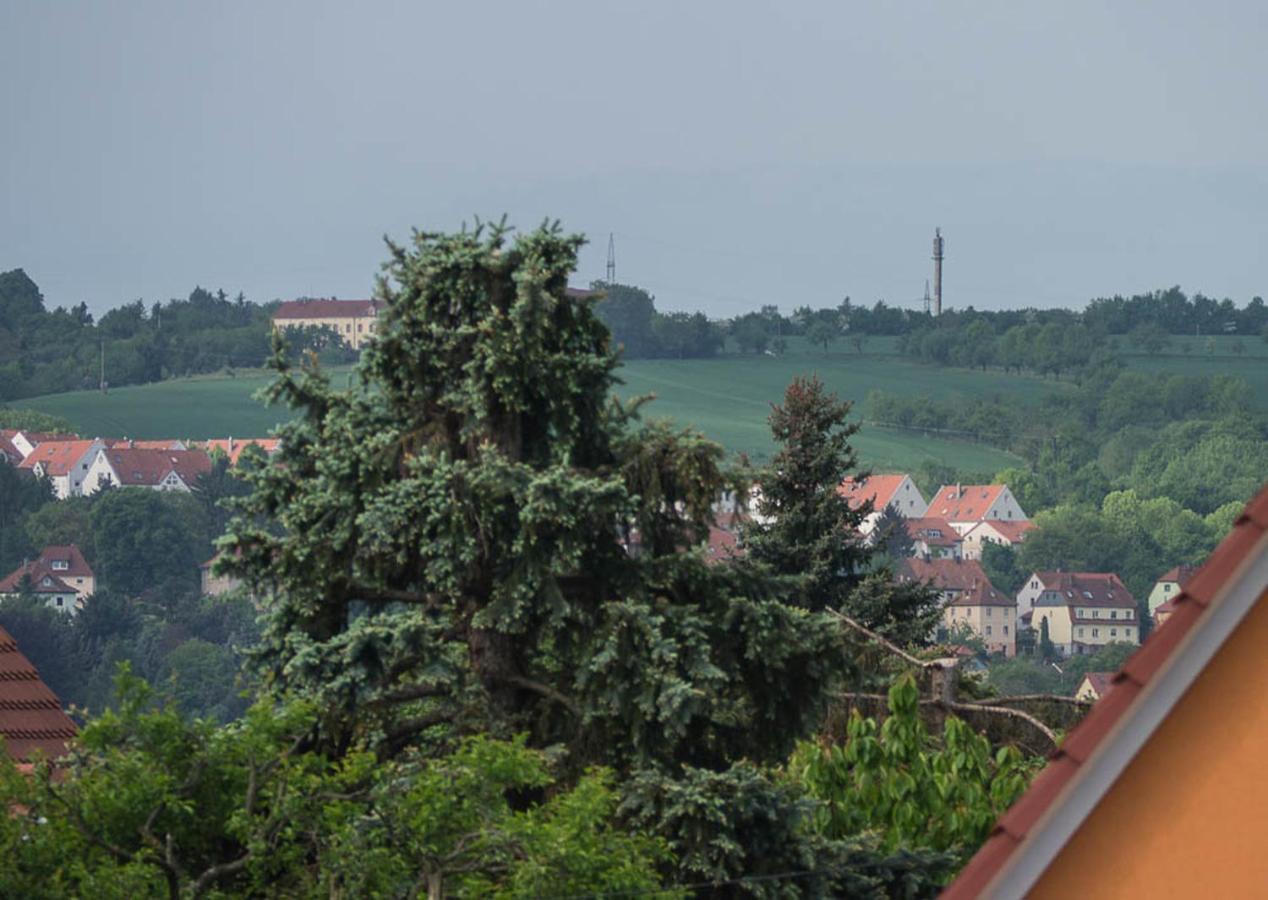 Ferienwohnung Am Elberadweg Dresda Cameră foto